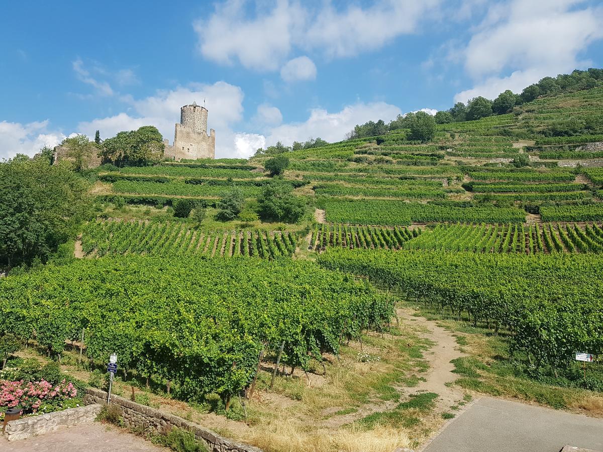 Kaysersberg City Center - Cote Vignoble - Eksteriør billede